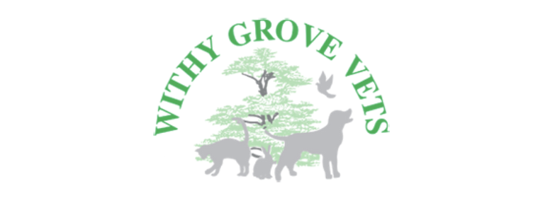 Withy Grove Vets